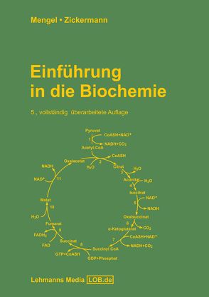 Einführung in die Biochemie von Mengel,  Konrad, Zickermann,  Volker