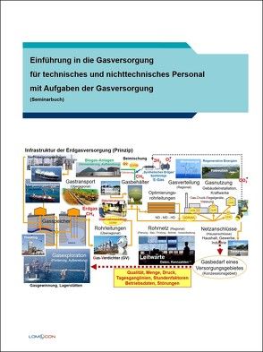 Einführung in die Gasversorgung für technisches und nichttechnisches Personal mit Aufgaben der Gasversorgung von Lomott,  Manfred