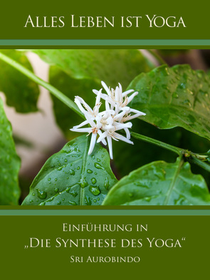 Einführung in „Die Synthese des Yoga“ von Aurobindo,  Sri