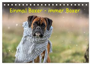 Einmal Boxer – immer Boxer (Tischkalender 2024 DIN A5 quer), CALVENDO Monatskalender von Janetzek,  Yvonne