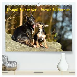 Einmal Bullterrier – immer Bullterrier (hochwertiger Premium Wandkalender 2024 DIN A2 quer), Kunstdruck in Hochglanz von Janetzek,  Yvonne