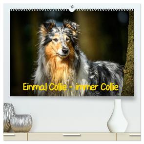 Einmal Collie – immer Collie (hochwertiger Premium Wandkalender 2024 DIN A2 quer), Kunstdruck in Hochglanz von Janetzek,  Yvonne