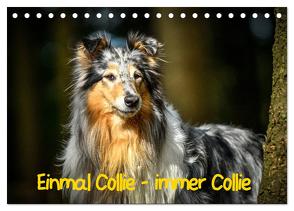 Einmal Collie – immer Collie (Tischkalender 2024 DIN A5 quer), CALVENDO Monatskalender von Janetzek,  Yvonne