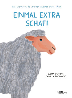 Einmal extra Schaf! von Demonti,  Ilaria, Pintonato,  Camilla