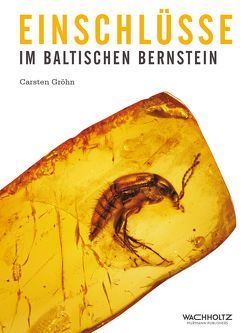 Einschlüsse im baltischen Bernstein von Gröhn,  Carsten