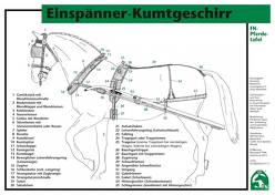 Einspänner-Kumtgeschirr von Deutsche Reiterliche Vereinigung e.V. (FN), FN Bereich Sport,  Abt. Ausbildung, Gross,  Dieter, König ,  Horst, Meier,  Ewald, Spenlen,  Uwe