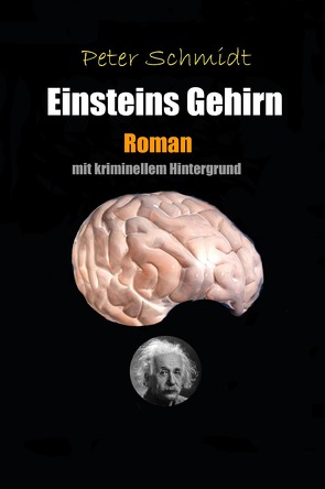 Einsteins Gehirn von Schmidt,  Peter