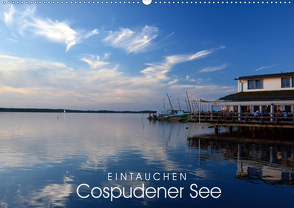 EINTAUCHEN – Cospudener See (Wandkalender 2021 DIN A2 quer) von Manz,  Katrin