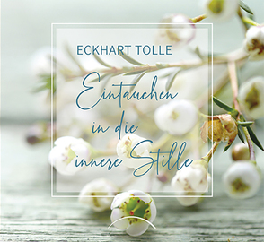 Eintauchen in die innere Stille von Tolle,  Eckhart