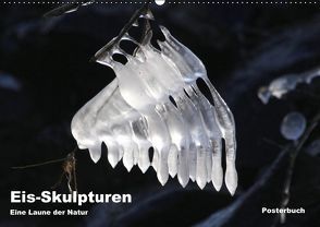 Eis-Skulpturen (PosterbuchDIN A2 quer) von Furche,  Gitti