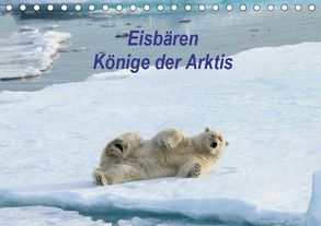 Eisbären – Könige der Arktis (Tischkalender 2019 DIN A5 quer) von Springer,  Heike