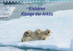 Eisbären – Könige der Arktis (Tischkalender 2020 DIN A5 quer) von Springer,  Heike