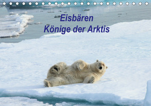 Eisbären – Könige der Arktis (Tischkalender 2021 DIN A5 quer) von Springer,  Heike