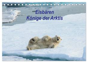 Eisbären – Könige der Arktis (Tischkalender 2024 DIN A5 quer), CALVENDO Monatskalender von Springer,  Heike