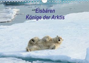 Eisbären – Könige der Arktis (Wandkalender 2018 DIN A4 quer) von Springer,  Heike