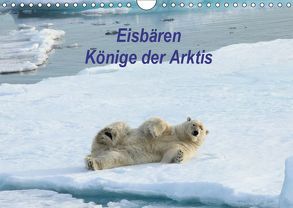 Eisbären – Könige der Arktis (Wandkalender 2019 DIN A4 quer) von Springer,  Heike