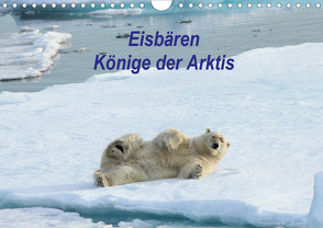 Eisbären – Könige der Arktis (Wandkalender 2020 DIN A4 quer) von Springer,  Heike