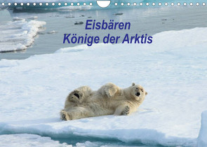 Eisbären – Könige der Arktis (Wandkalender 2022 DIN A4 quer) von Springer,  Heike