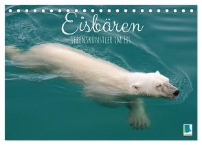 Eisbären: Lebenskünstler im Eis (Tischkalender 2024 DIN A5 quer), CALVENDO Monatskalender von CALVENDO,  CALVENDO