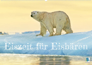 Eisbären: Lebenskünstler im Eis (Wandkalender 2022 DIN A2 quer) von CALVENDO