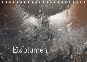 Eisblumen (Tischkalender 2018 DIN A5 quer) von Essbach,  Günther