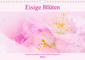 Eisige Blüten (Wandkalender 2023 DIN A4 quer) von Scheurer,  Monika