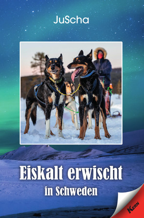 Eiskalt erwischt in Schweden von JuScha