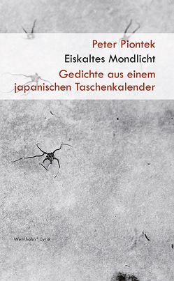 Eiskaltes Mondlicht von Piontek,  Peter