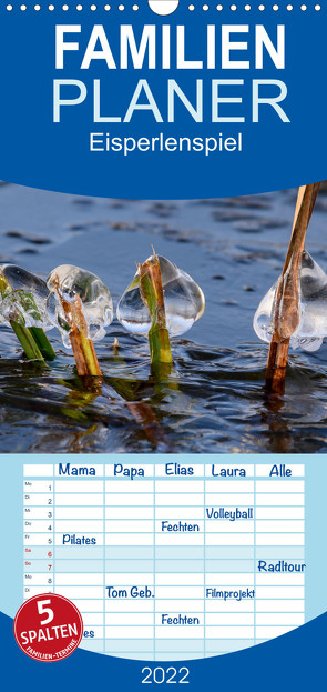 Familienplaner Eisperlenspiel (Wandkalender 2022 , 21 cm x 45 cm, hoch) von Boockhoff,  Irk