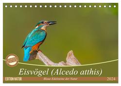 Eisvögel (Alcedo atthis) – Edelsteine der Natur (Tischkalender 2024 DIN A5 quer), CALVENDO Monatskalender von Di Chito,  Ursula