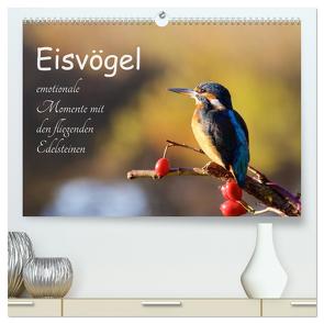 Eisvögel – emotionale Momente mit den fliegenden Edelsteinen (hochwertiger Premium Wandkalender 2024 DIN A2 quer), Kunstdruck in Hochglanz von Kalanke,  Jens