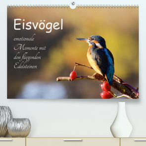 Eisvögel – emotionale Momente mit den fliegenden Edelsteinen (Premium, hochwertiger DIN A2 Wandkalender 2021, Kunstdruck in Hochglanz) von Kalanke,  Jens