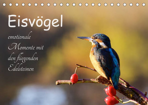 Eisvögel – emotionale Momente mit den fliegenden Edelsteinen (Tischkalender 2022 DIN A5 quer) von Kalanke,  Jens