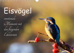 Eisvögel – emotionale Momente mit den fliegenden Edelsteinen (Wandkalender 2023 DIN A3 quer) von Kalanke,  Jens