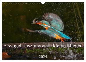 Eisvögel, faszinierende kleine Flieger. (Wandkalender 2024 DIN A3 quer), CALVENDO Monatskalender von von der Heyde,  Wiebke