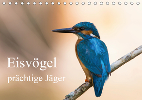 Eisvögel – prächtige Jäger (Tischkalender 2020 DIN A5 quer) von Alberer,  Thomas