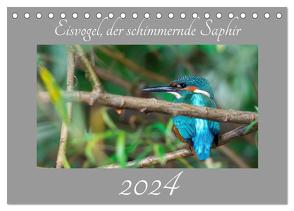 Eisvogel, der schimmernde Saphir (Tischkalender 2024 DIN A5 quer), CALVENDO Monatskalender von Danielwayfotografie,  Danielwayfotografie