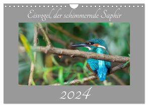 Eisvogel, der schimmernde Saphir (Wandkalender 2024 DIN A4 quer), CALVENDO Monatskalender von Danielwayfotografie,  Danielwayfotografie