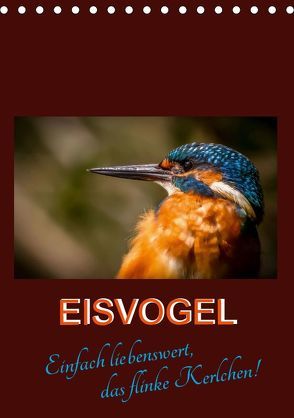 Eisvogel – einfach liebenswert, das flinke Kerlchen (Tischkalender 2019 DIN A5 hoch) von Herbolzheimer,  Carl-Peter