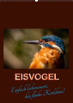 Eisvogel – einfach liebenswert, das flinke Kerlchen (Wandkalender 2018 DIN A2 hoch) von Herbolzheimer,  Carl-Peter