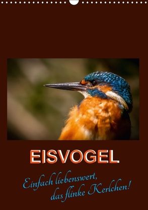 Eisvogel – einfach liebenswert, das flinke Kerlchen (Wandkalender 2018 DIN A3 hoch) von Herbolzheimer,  Carl-Peter