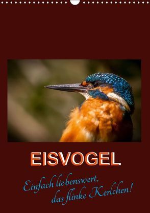 Eisvogel – einfach liebenswert, das flinke Kerlchen (Wandkalender 2019 DIN A3 hoch) von Herbolzheimer,  Carl-Peter