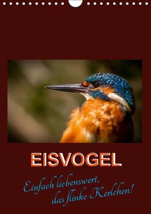 Eisvogel – einfach liebenswert, das flinke Kerlchen (Wandkalender 2019 DIN A4 hoch) von Herbolzheimer,  Carl-Peter