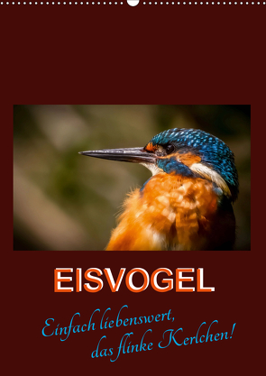 Eisvogel – einfach liebenswert, das flinke Kerlchen (Wandkalender 2021 DIN A2 hoch) von Herbolzheimer,  Carl-Peter