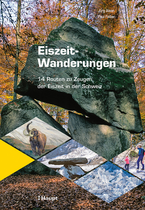 Eiszeit-Wanderungen von Alean,  Jürg, Felber,  Paul