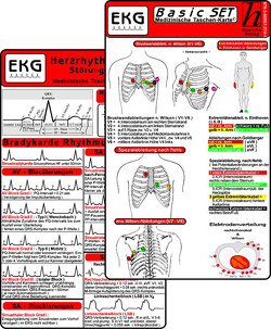 EKG Basic Set (2er Set) – Herzrhythmusstörungen, EKG Auswertung – Medizinische Taschen-Karte von Hawelka Verlag