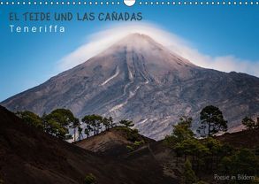 EL TEIDE UND LAS CAÑADAS – Teneriffa (Wandkalender 2019 DIN A3 quer) von Rosenberg,  Raico