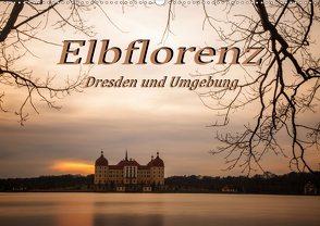 Elbflorenz – Dresden und Umgebung (Wandkalender 2021 DIN A2 quer) von Zinoviev,  Sergej