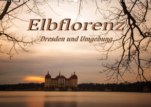 Elbflorenz – Dresden und Umgebung (Wandkalender 2022 DIN A2 quer) von Zinoviev,  Sergej