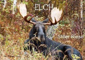 ELCH. Stiller Riese (Posterbuch DIN A2 quer) von Henry,  Philippe